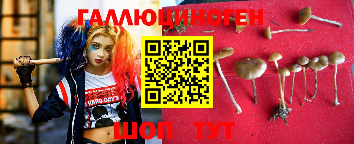 Шелехов  Галлюциногенные грибы Magic Shrooms  Вход с VPN 