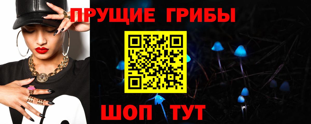 Галлюциногенные грибы Psilocybe Шелехов